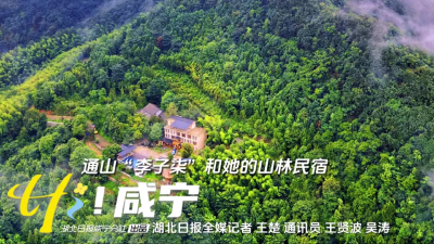 【短视频】通山“李子柒”和她的山林民宿