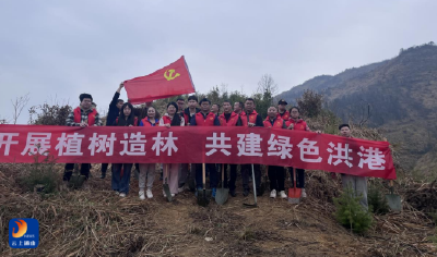 洪港镇：党建带团建 开展植树活动