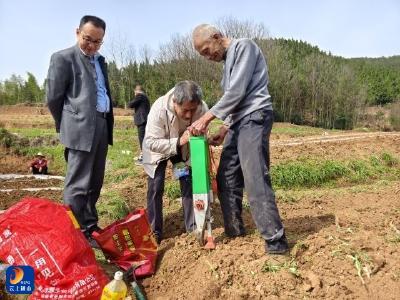 促农增收，环保先行，通山县推行“地膜春玉米”项目 