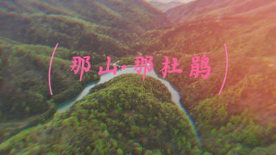 【短视频】那山·那杜鹃