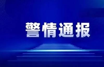 通山公安电信网络诈骗4月警情通报 