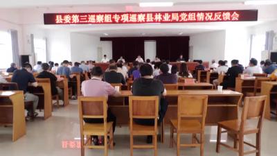 V视 | 县委第三巡察组向县林业局党组反馈专项巡察情况