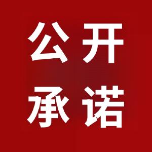 2024年度通山县乡镇党委书记抓基层党建工作公开承诺