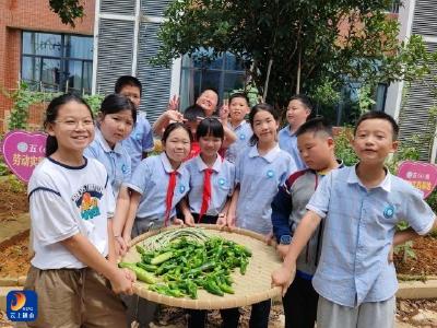 通山县迎宾路小学“太空种子”劳动基地