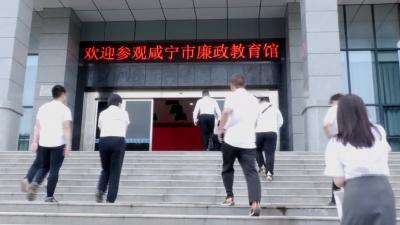 V视 | 南林桥镇组织党员干部赴市廉政教育馆开展警示教育活动