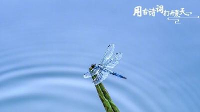 文化中国行迎夏至 | 当夏日美景遇上古诗词