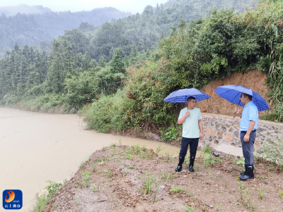 九宫山镇：防汛减灾守一线 人大代表显担当