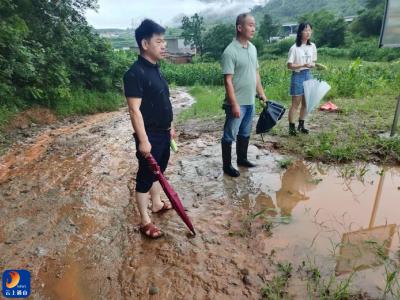 通羊镇全面加强水库防洪保安工作，筑牢安全防线