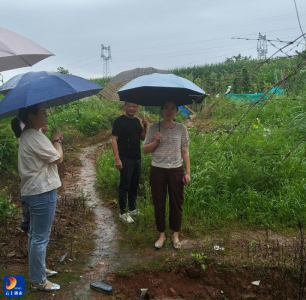 向雨而行，通山县“她”力量在防汛一线