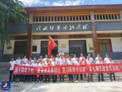 通羊镇岭下村：重温党史践初心 学习条例守纪律