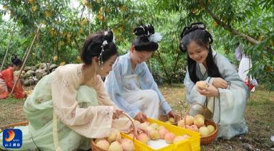 通山闯王：水蜜桃“甜蜜”上市   特色水果产业助力乡村振兴