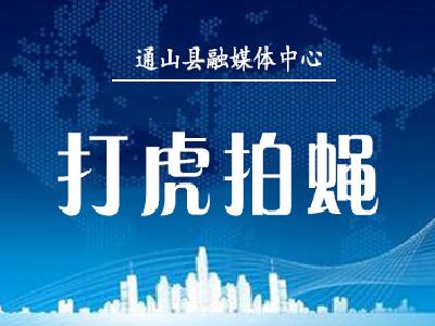 湖北检察机关依法对刘捍东涉嫌受贿、滥用职权、非法倒卖土地使用权案提起公诉