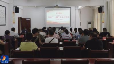 V视丨通山县召开学习贯彻党的二十届三中全会精神多样化宣讲队集体备课会