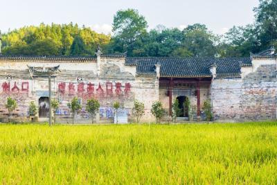 洪港镇江源村——古民居