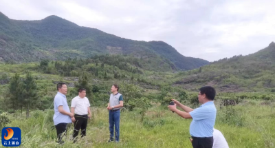 【学习贯彻党的二十届三中全会精神】县农业农村局扎实开展党的二十届三中全会精神学习