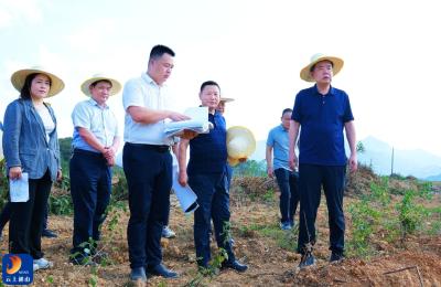 V视丨吴涛督办重点项目建设工作时强调：要树立“项目为王”的理念 全力以赴推进重点项目建设