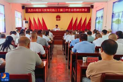 【学习贯彻党的二十届三中全会精神】V视丨吴涛赴九宫山镇开展学习贯彻党的二十届三中全会精神宣讲活动