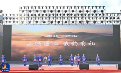 喜报！通山县九宫山乡音艺术团在全国展演中荣获佳绩