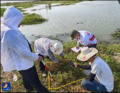 通山县积极推动县域生物多样性本底调查工作
