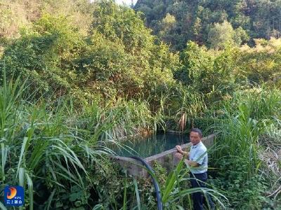 闯王镇界牌村：新井清泉涌  解渴润民心