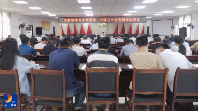 【学习贯彻党的二十届三中全会精神】V视丨大畈镇召开学习贯彻党的二十届三中全会精神宣讲会