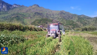 【假期我在岗】厦铺镇：秋播秋种正当时 绘就来年好“丰”景