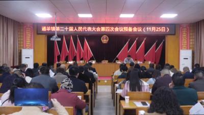 V视丨通羊镇召开第二十届人民代表大会第四次会议