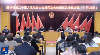 V视丨通羊镇召开第二十届人民代表大会第四次会议