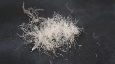 羽绒服乱象，该管管了！