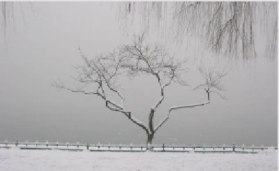 【凤池夜读】第875期丨李伟豪朗读《第一场雪》