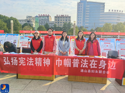 通山县妇联开展“国家宪法日”集中宣传活动