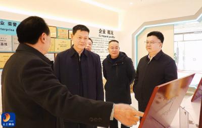 V视丨省委统战部副部长、省工商联党组书记庄光明来通山县调研
