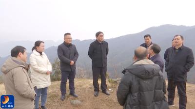 V视丨张廷来通山县调研太平山综合旅游开发工作
