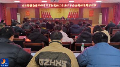 【学习贯彻党的二十届三中全会精神】南林桥镇：开展党的二十届三中全会精神集中学习