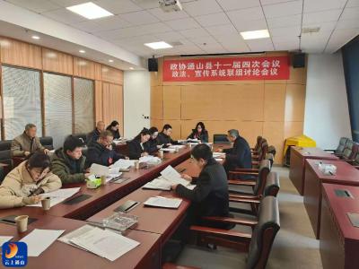 【聚焦“两会”】县政协委员分组讨论县委书记陈洪豪致辞和政协三个报告