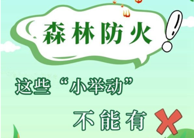 “十不准”！森林防火，重在预防！