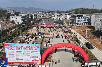 咸宁通山：年货节进乡村 家门口赶大集