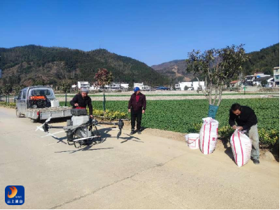 土肥工作全力助推2025年春耕备耕