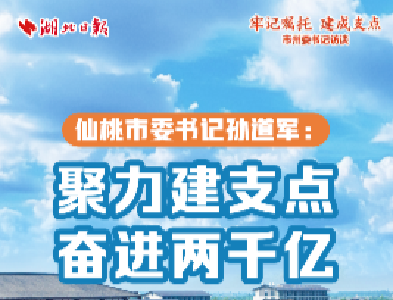 仙桃市委书记孙道军：聚力建支点 奋进两千亿 
