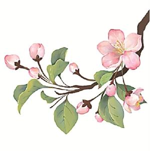 二十四节气二十四问 