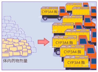吃药期间，这种水果最好别碰！ 