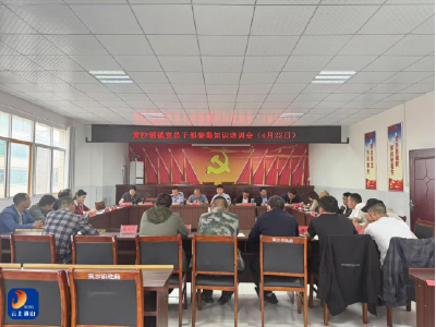 黄沙铺镇：党员干部禁毒知识培训会