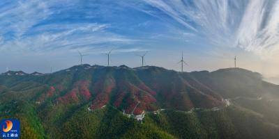 通山大幕山：杜鹃花开映山红 生态旅游助振兴
