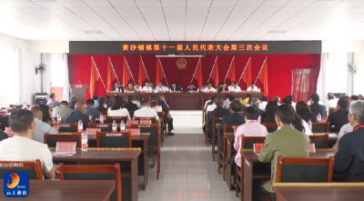 V视丨黄沙铺镇第十一届人民代表大会第三次会议召开