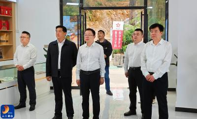 V视丨郑黎明到通山县大畈镇调研乡村振兴与产业发展