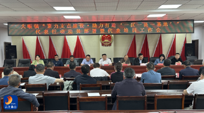大畈镇召开“聚力支点建设·助力打造‘一区一县一基地’”代表行动动员部署暨代表培训工作会议