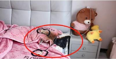 忘了拔掉TA，家差点烧了！手机充电注意这些 