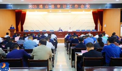 V视丨2025年通山县审计工作会议召开