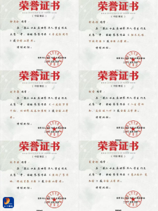 通山县实验高级中学：以赛赋能展风采 妙笔生花书华章