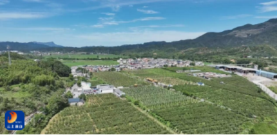 牛羊成群鱼满塘 果木成林粮满仓——大路乡着力“三靠”促乡村振兴